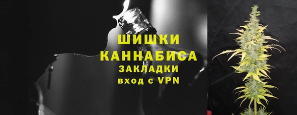 ПСИЛОЦИБИНОВЫЕ ГРИБЫ Алзамай