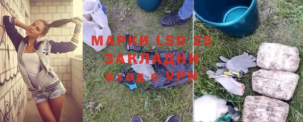 ПСИЛОЦИБИНОВЫЕ ГРИБЫ Алзамай