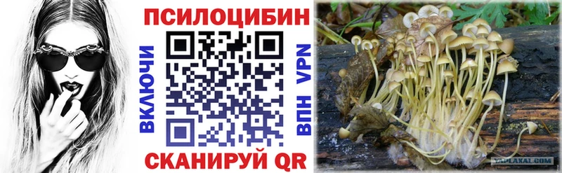 купить наркотики сайты  Новая Усмань  Галлюциногенные грибы прущие грибы 
